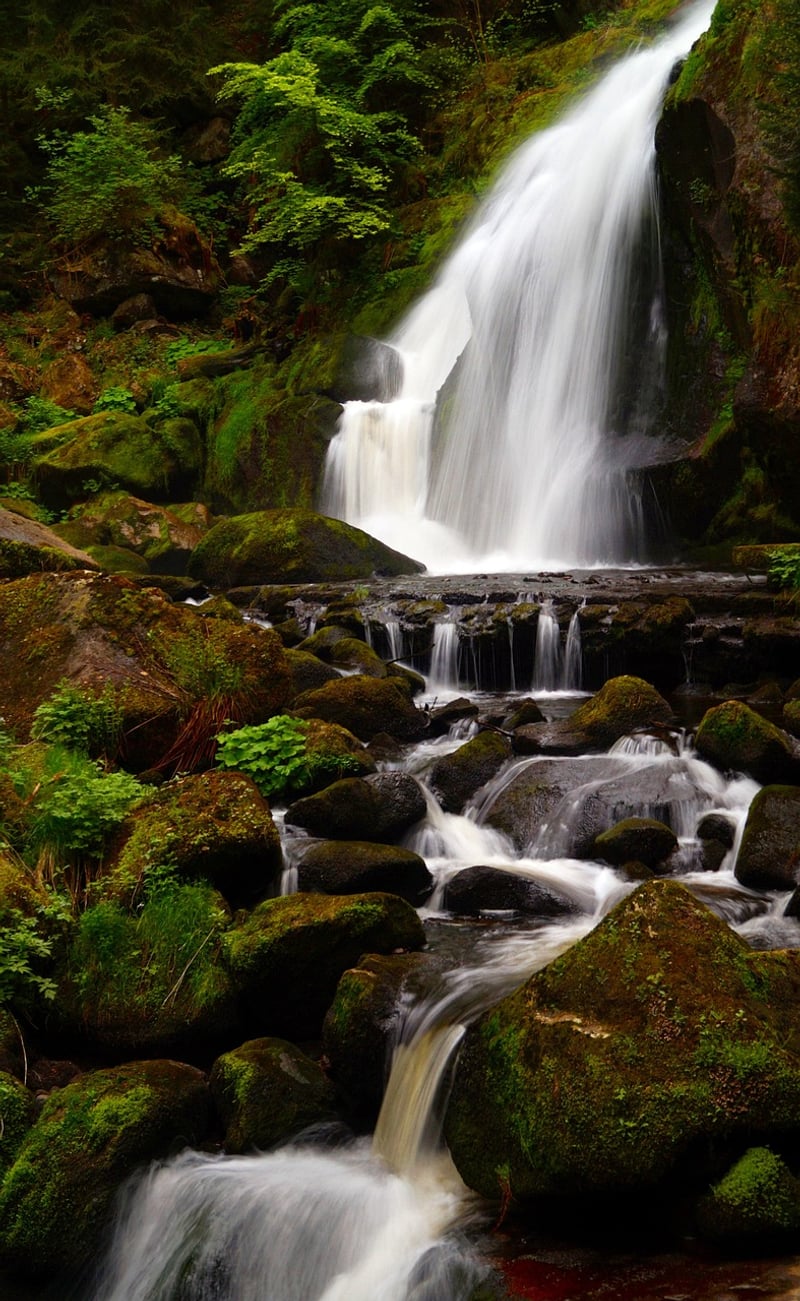 Finding water source in nature